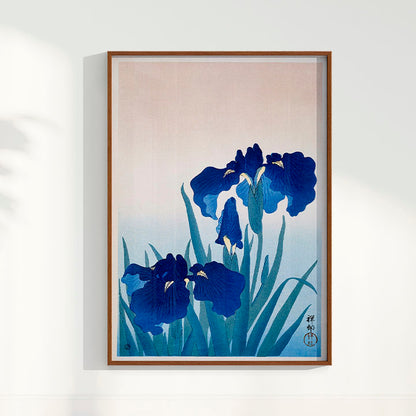 Quadro Iris Flowers por Ohara Koson
