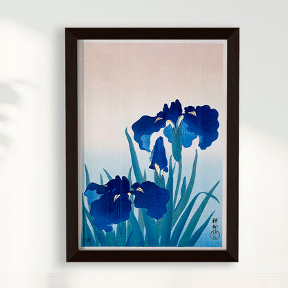 Quadro Iris Flowers por Ohara Koson