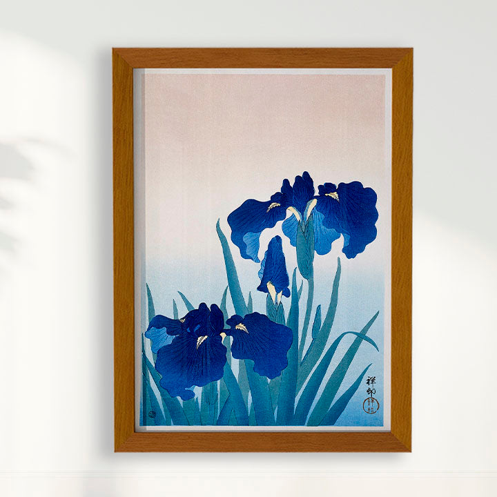 Quadro Iris Flowers por Ohara Koson