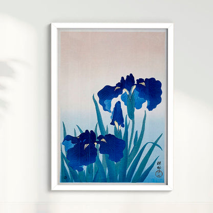 Quadro Iris Flowers por Ohara Koson