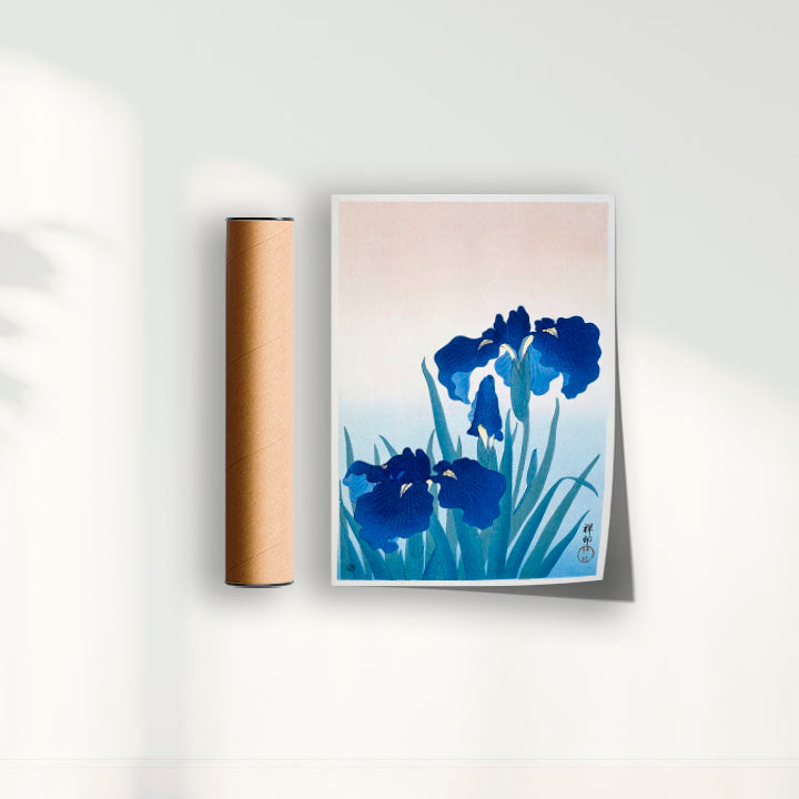 Quadro Iris Flowers por Ohara Koson