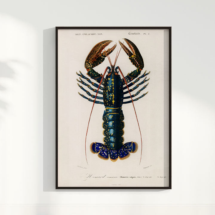 Quadro Lagosta