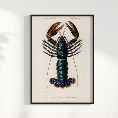 Quadro Lagosta