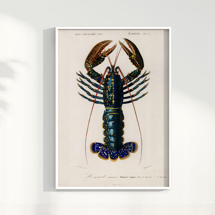Quadro Lagosta