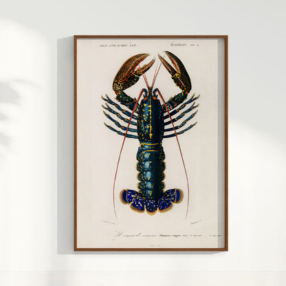 Quadro Lagosta