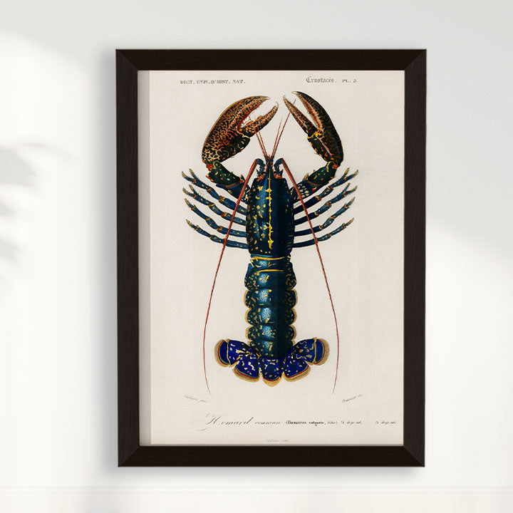 Quadro Lagosta