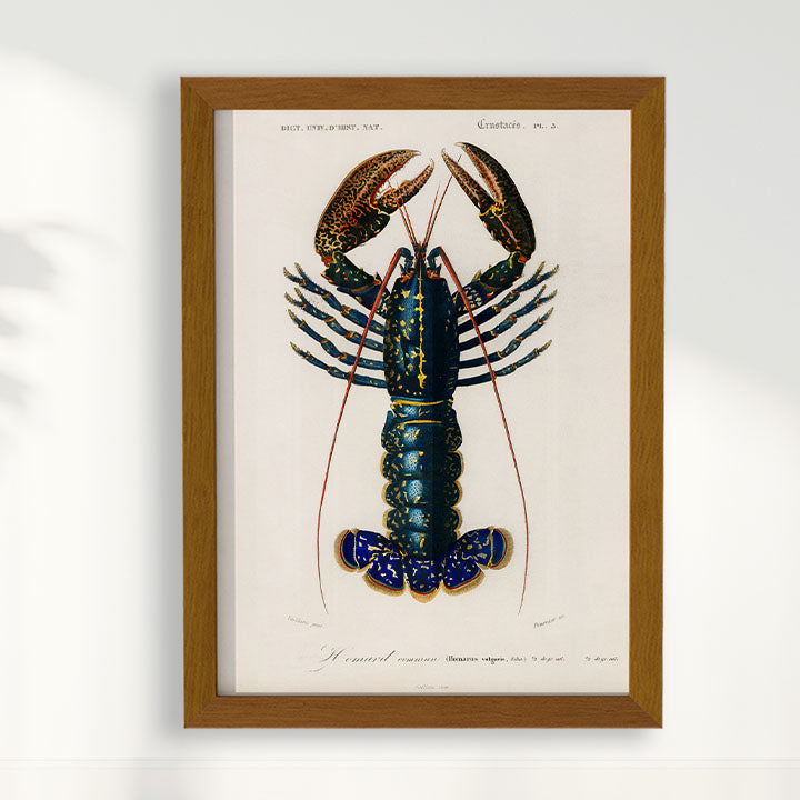 Quadro Lagosta