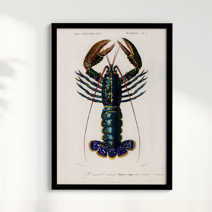 Quadro Lagosta