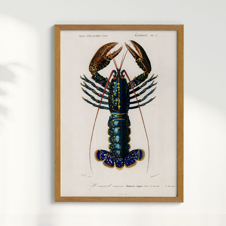 Quadro Lagosta