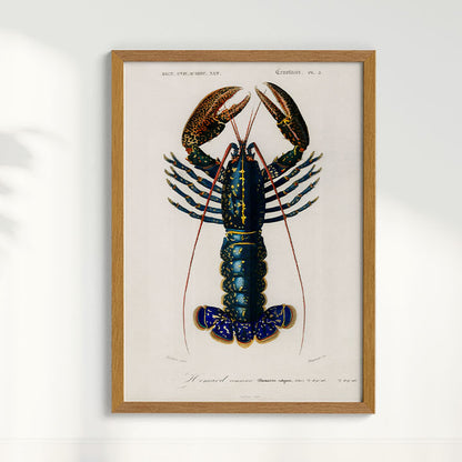 Quadro Lagosta