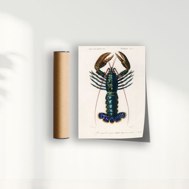Quadro Lagosta