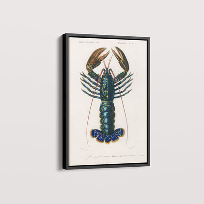 Quadro Lagosta