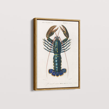 Quadro Lagosta