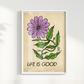 Flower I por Thiago Villas Boas