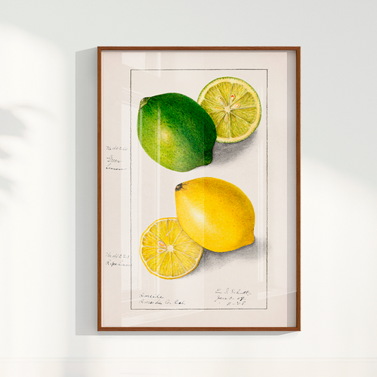 Quadro Limão Vintage