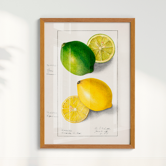 Quadro Limão Vintage
