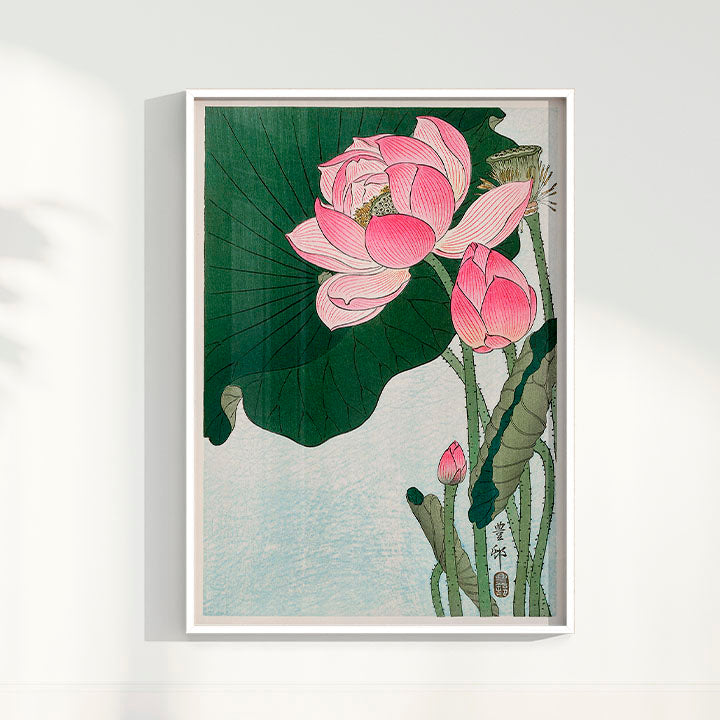 Quadro Blooming lotus flowers por Ohara Koson
