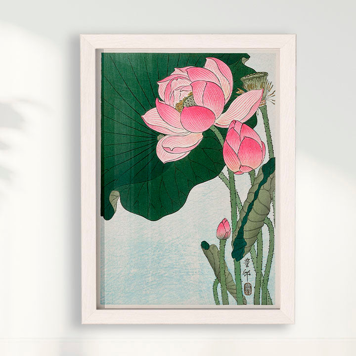 Quadro Blooming lotus flowers por Ohara Koson