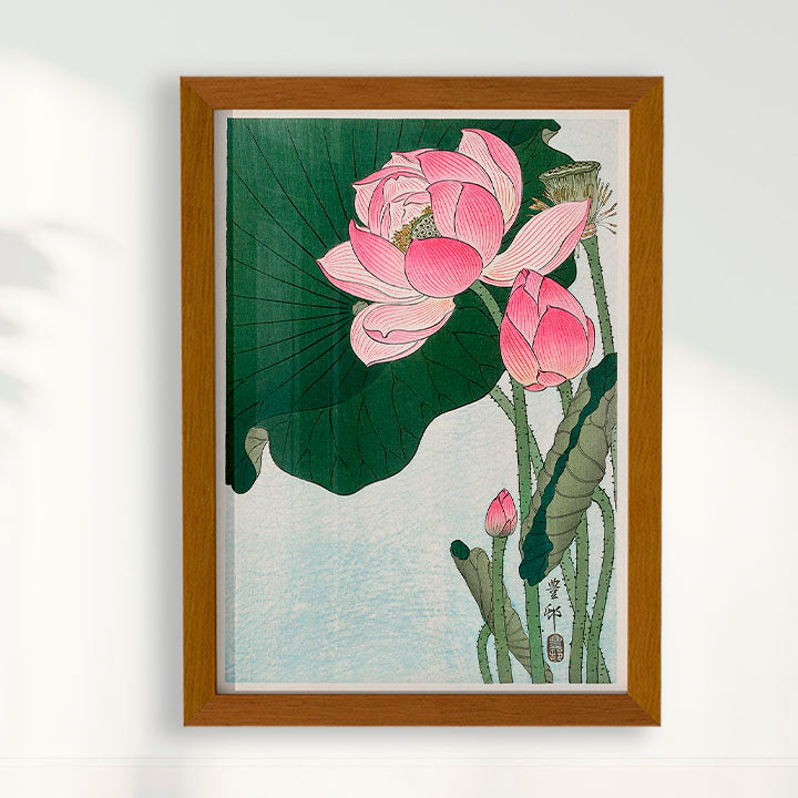 Quadro Blooming lotus flowers por Ohara Koson