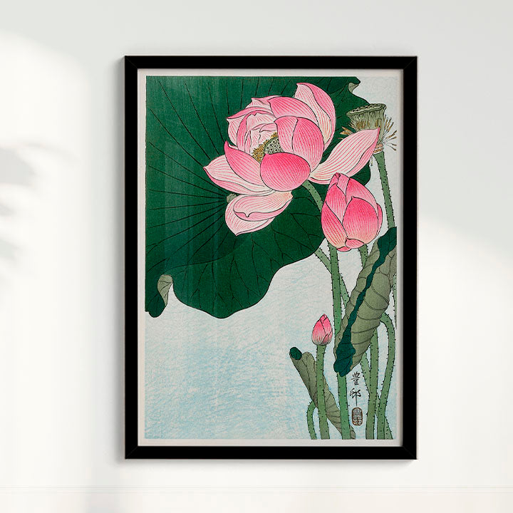 Quadro Blooming lotus flowers por Ohara Koson