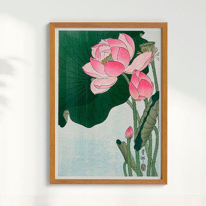 Quadro Blooming lotus flowers por Ohara Koson