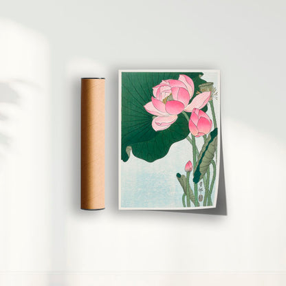 Quadro Blooming lotus flowers por Ohara Koson