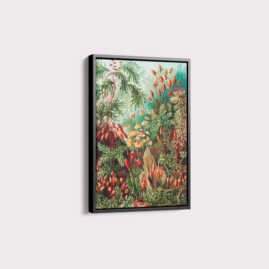 Quadro Botânico Tropical Vintage II
