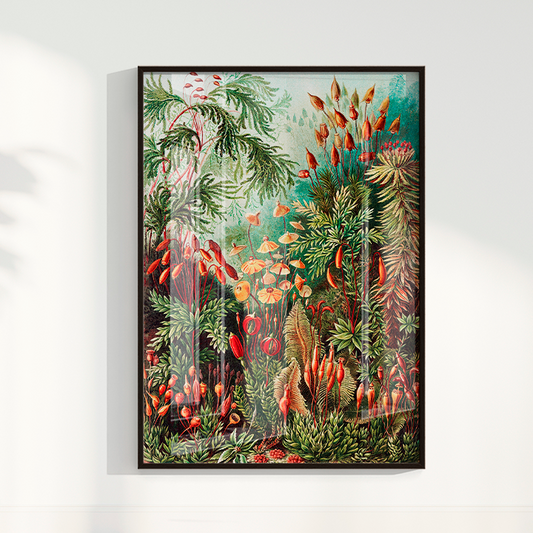 Quadro Botânico Tropical Vintage II