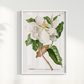 Quadro Magnolia