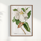 Quadro Magnolia