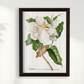 Quadro Magnolia