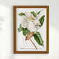 Quadro Magnolia