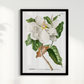 Quadro Magnolia