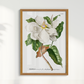 Quadro Magnolia