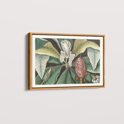 Quadro Magnólia Botânica Vintage Clássica