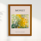 Monet III
