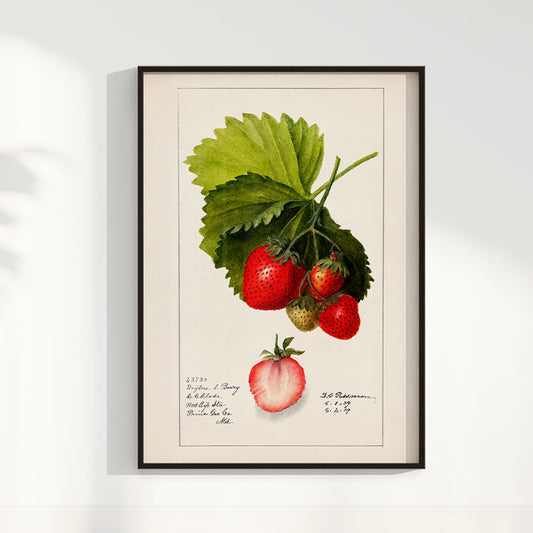 Quadro Morango vintage