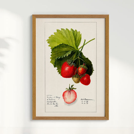 Quadro Morango vintage
