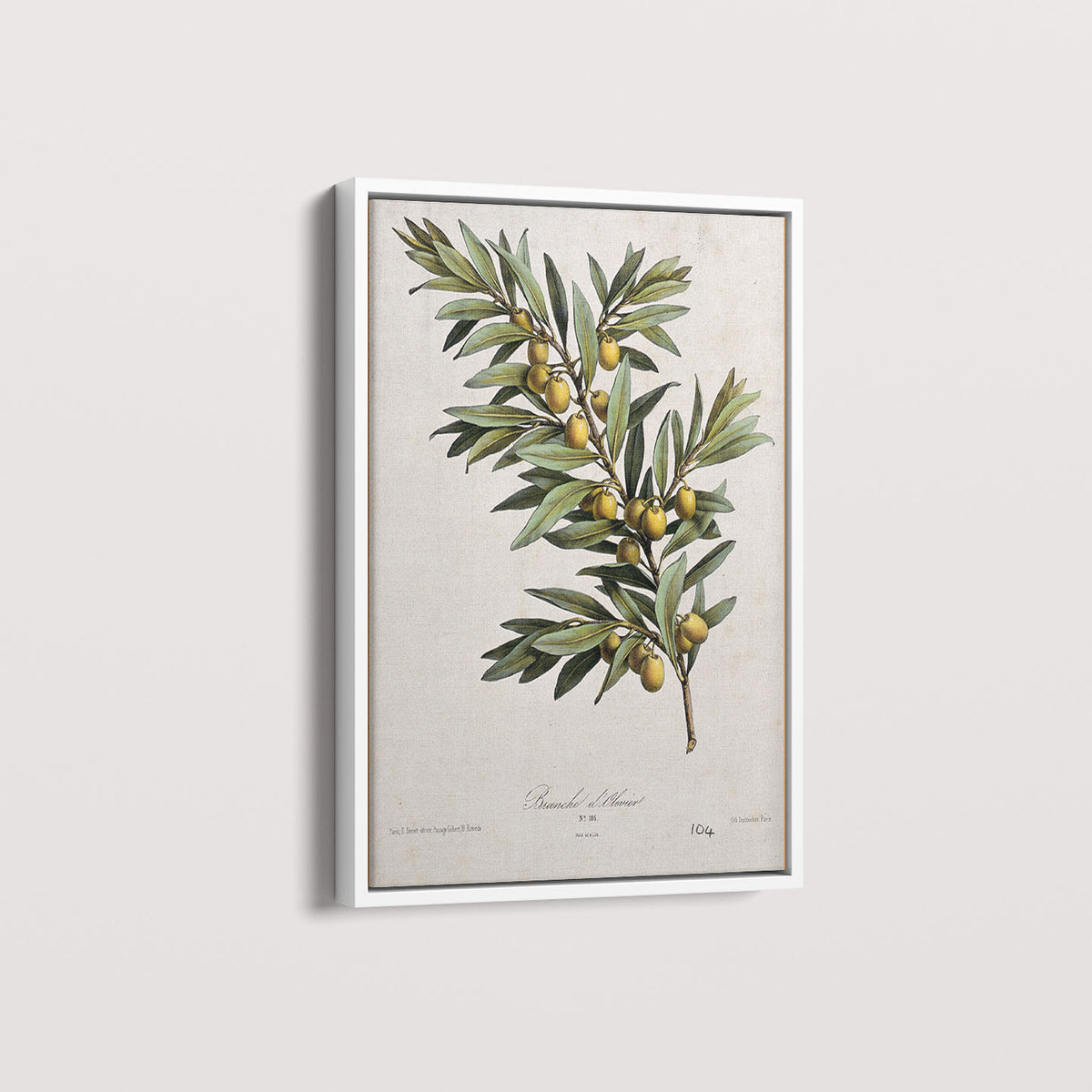 Quadro Ramo de Oliveira