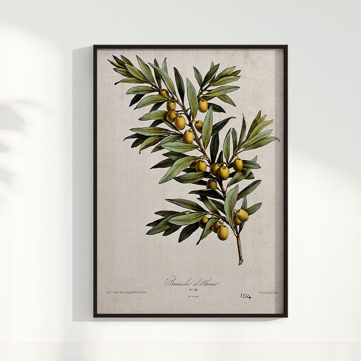 Quadro Ramo de Oliveira