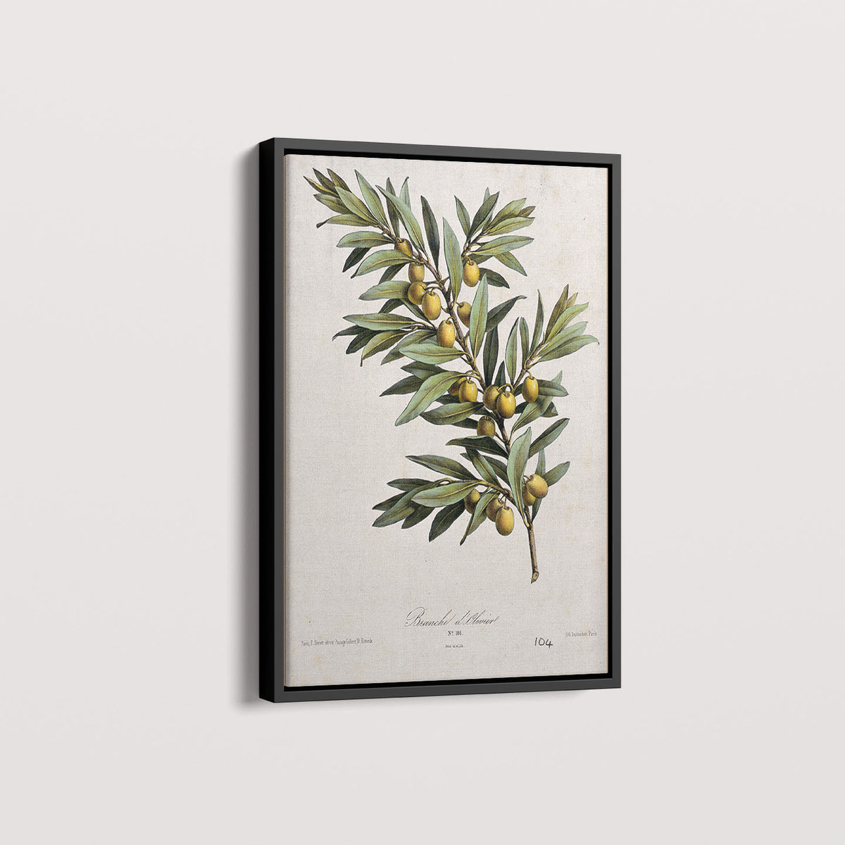 Quadro Ramo de Oliveira