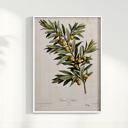 Quadro Ramo de Oliveira