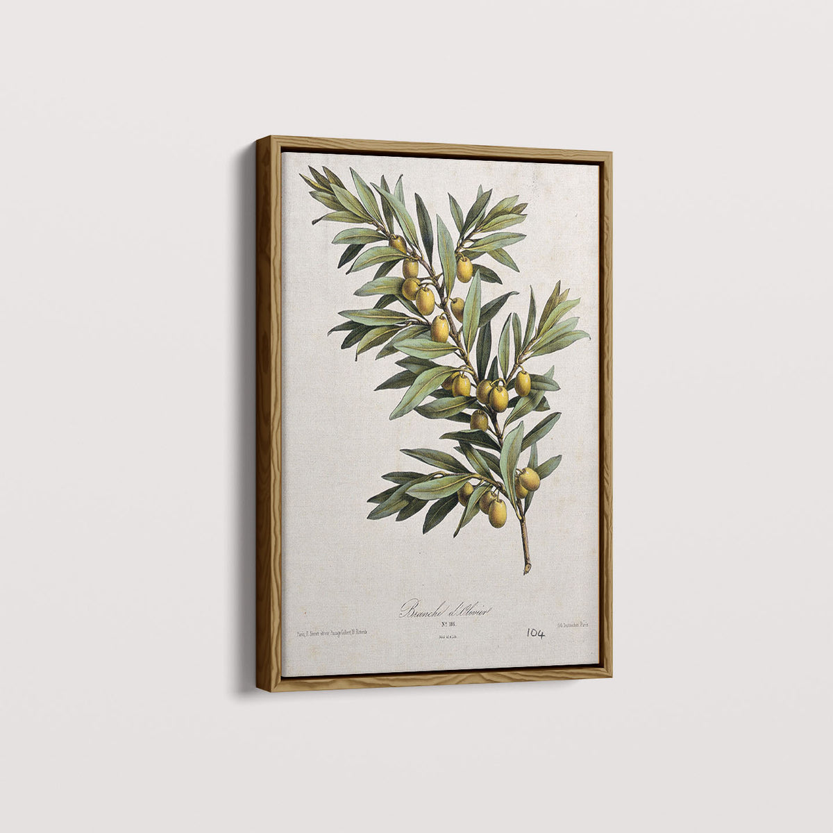 Quadro Ramo de Oliveira