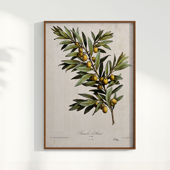 Quadro Ramo de Oliveira