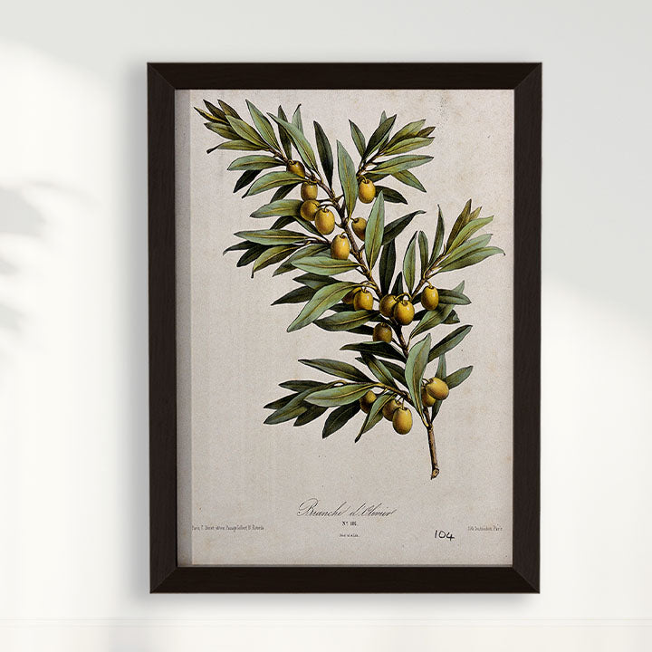 Quadro Ramo de Oliveira