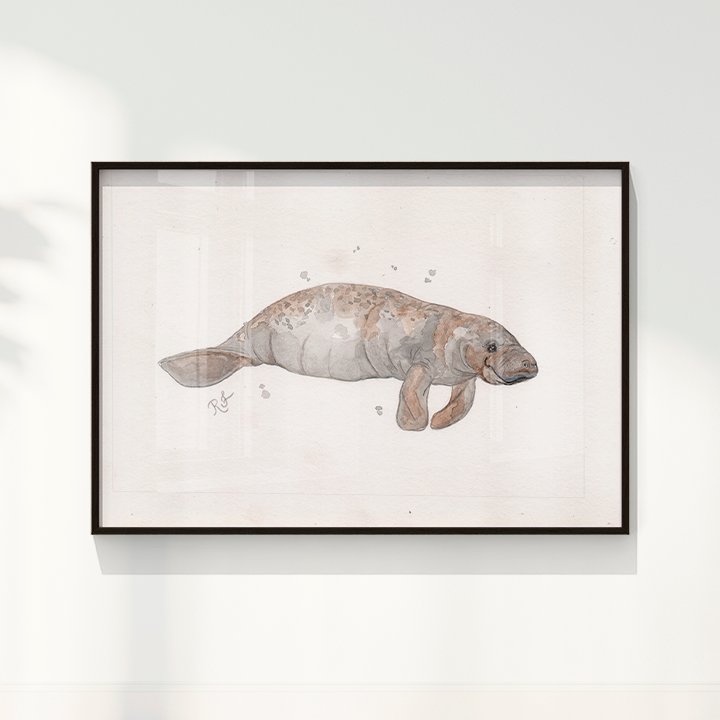 Quadro Peixe boi por Rayana Karoline