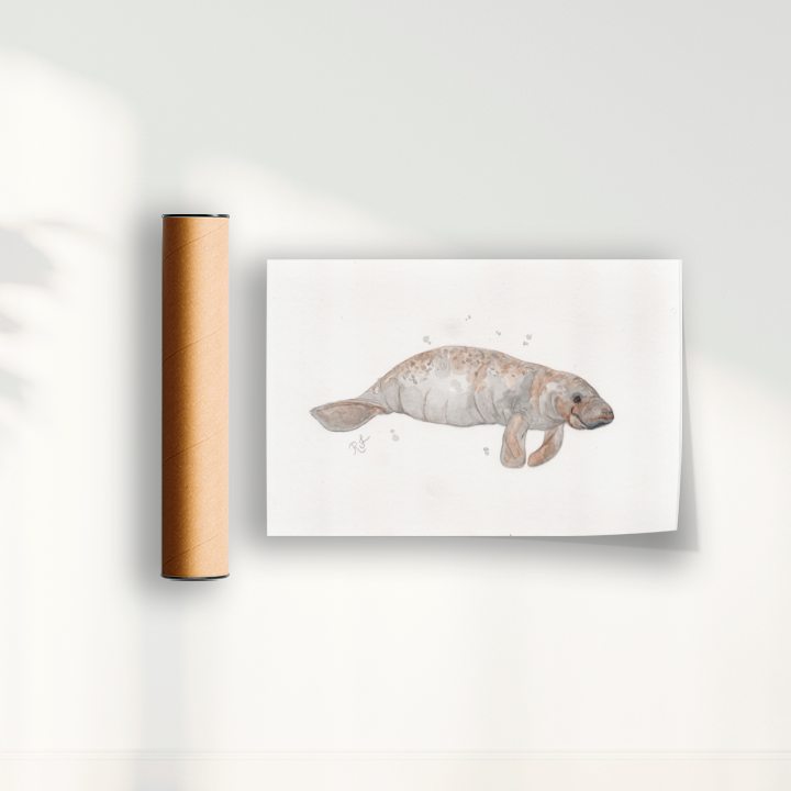 Quadro Peixe boi por Rayana Karoline