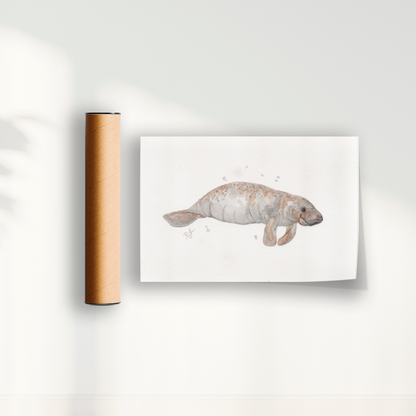Quadro Peixe boi por Rayana Karoline