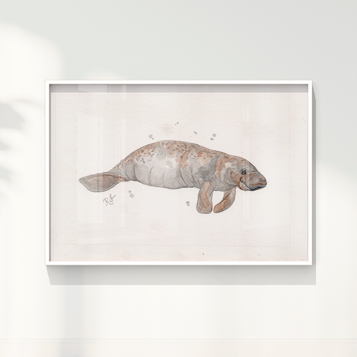 Quadro Peixe boi por Rayana Karoline