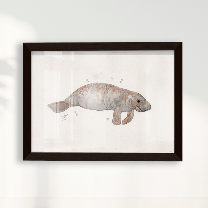 Quadro Peixe boi por Rayana Karoline
